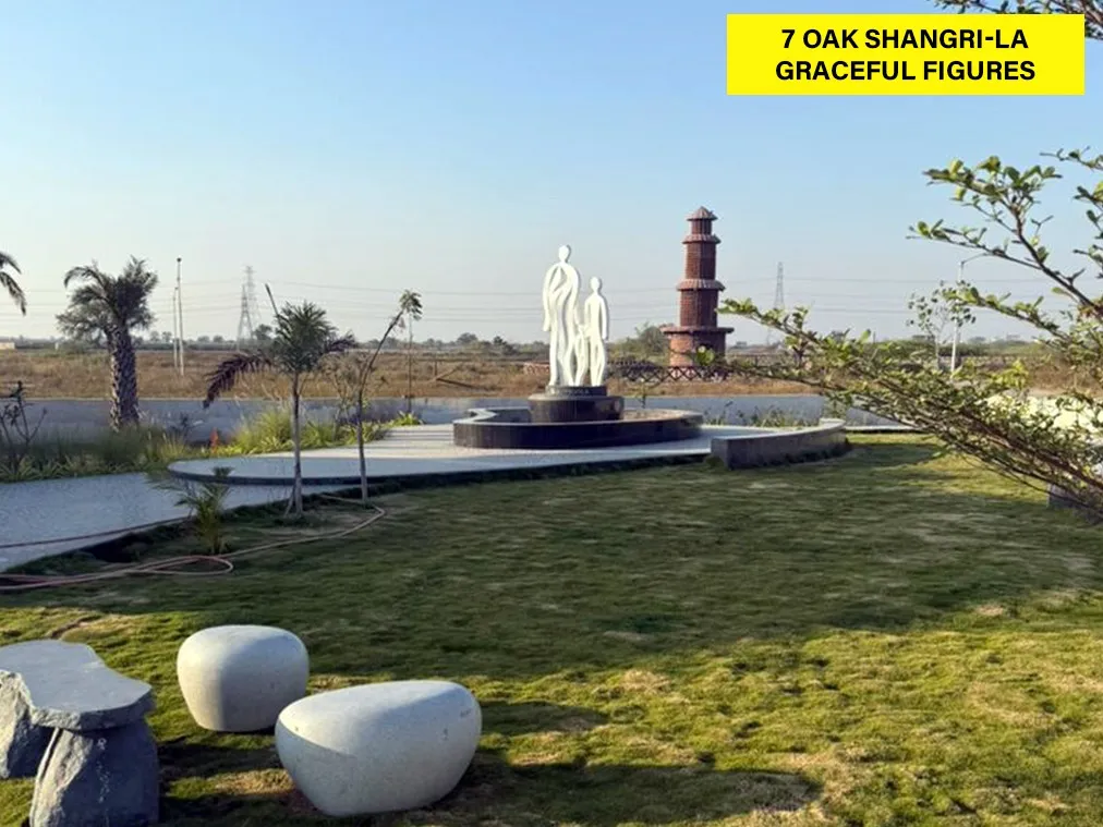Dholera SIR residential plot site — 7 Oak Developers