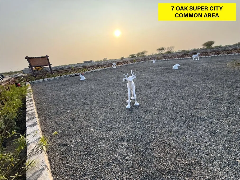 Dholera SIR residential plot site — 7 Oak Developers